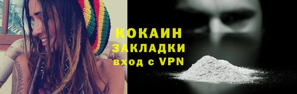 крисы Новодвинск