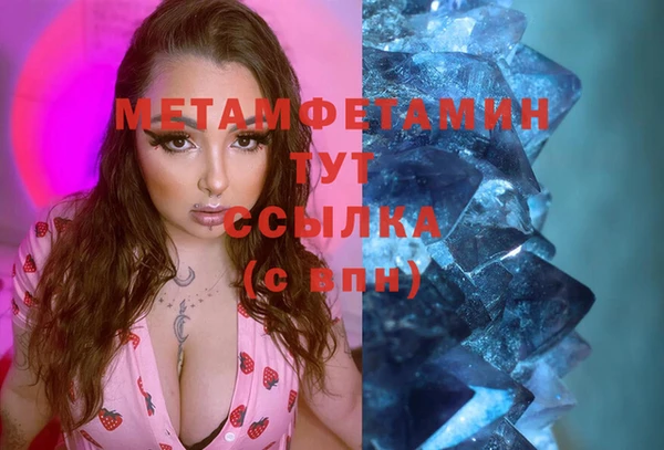 сатива Новокубанск