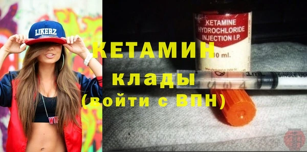 сатива Новокубанск