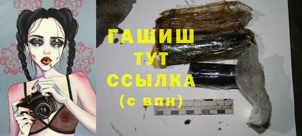сатива Новокубанск