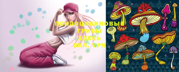 крисы Новодвинск