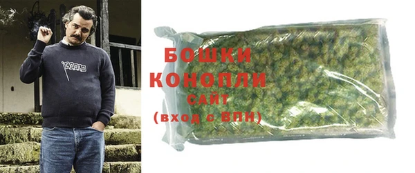сатива Новокубанск