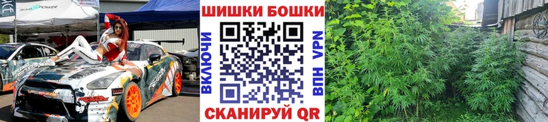 Марихуана сатива  Ильский 